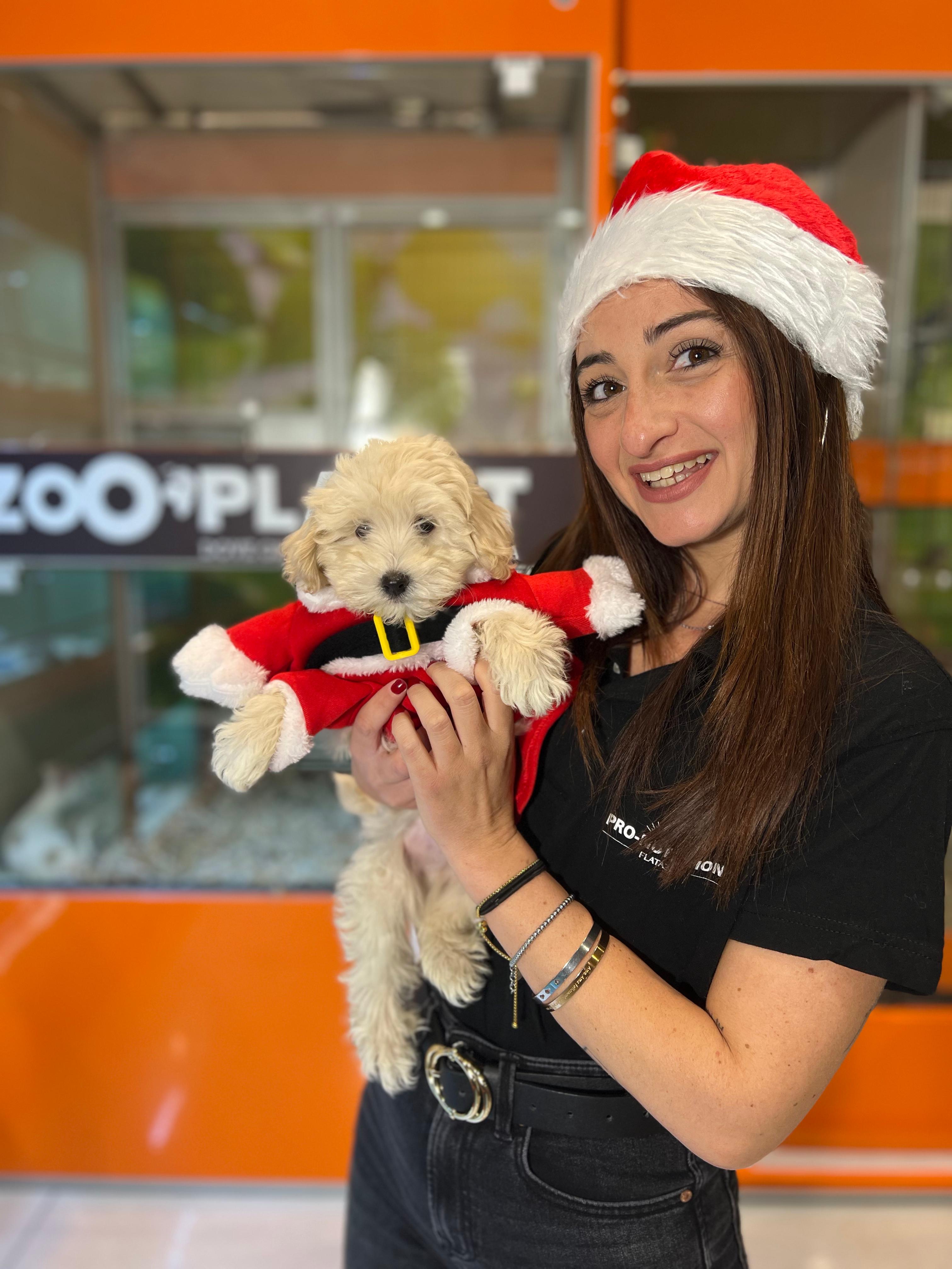 5 Anni di Zooplanet - Lacchiarella